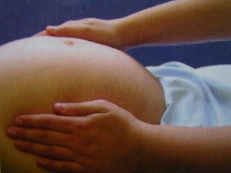 leopold2_333 leopold2_333